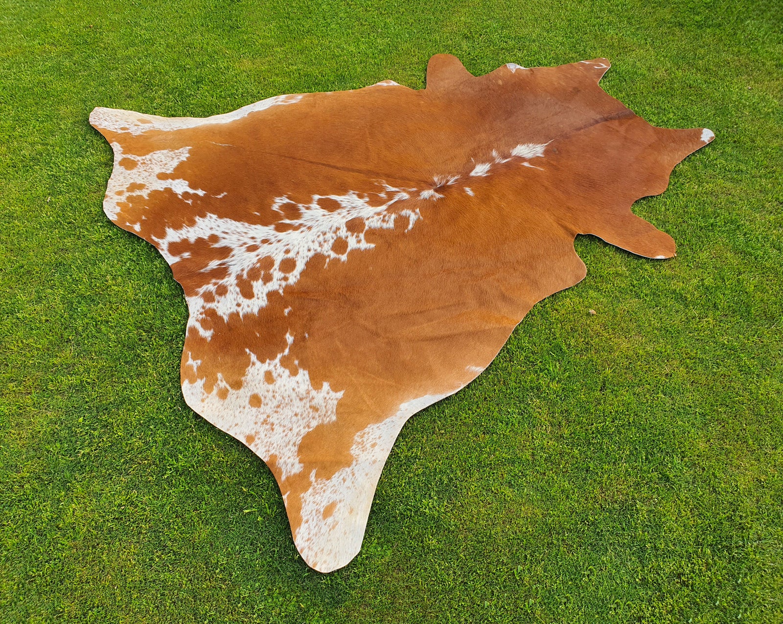 Tan Brown and White Hereford Cowhide Area Rug