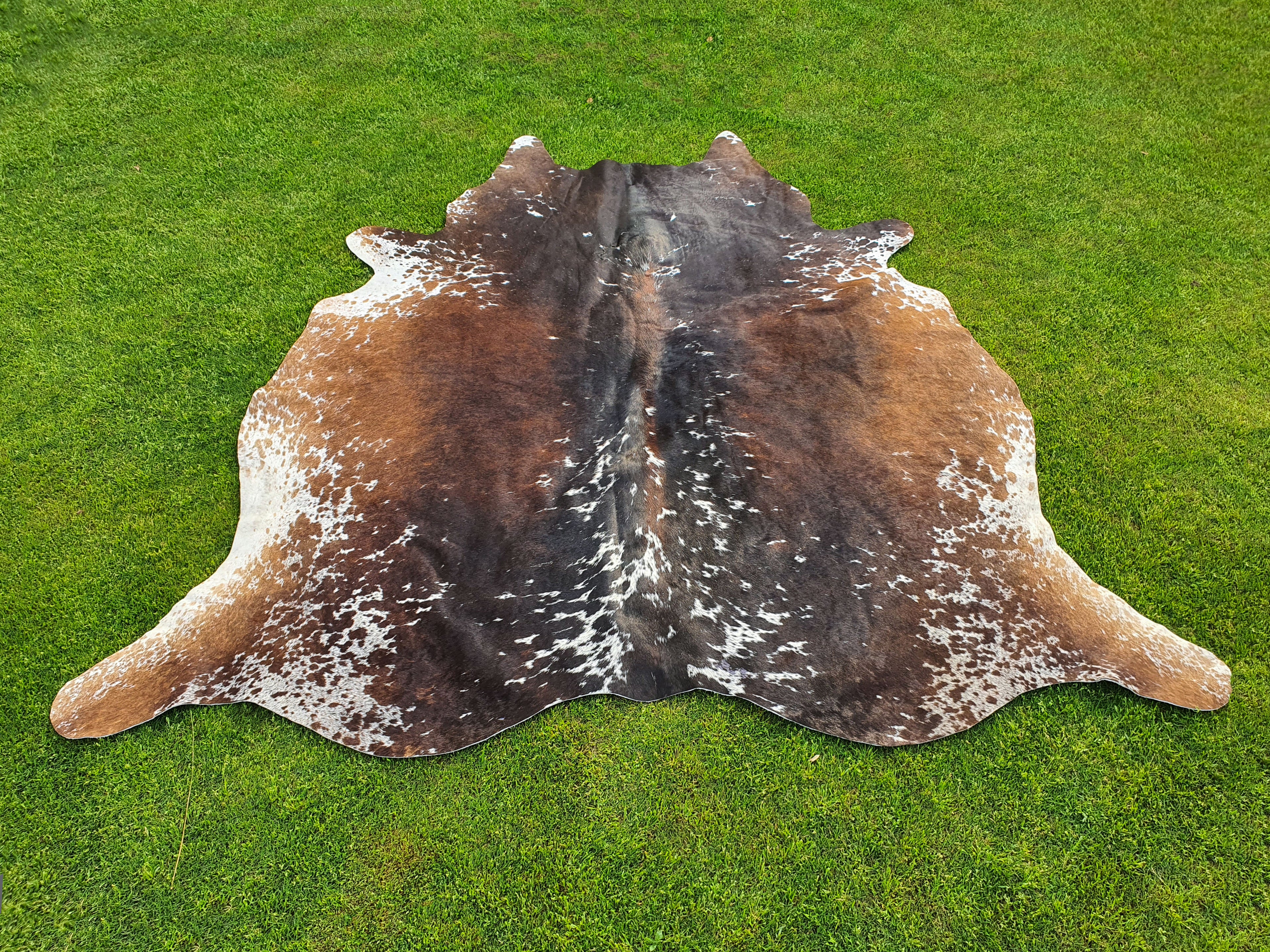 Luxury Tricolor Cowhide in Unique Design for Home Décor