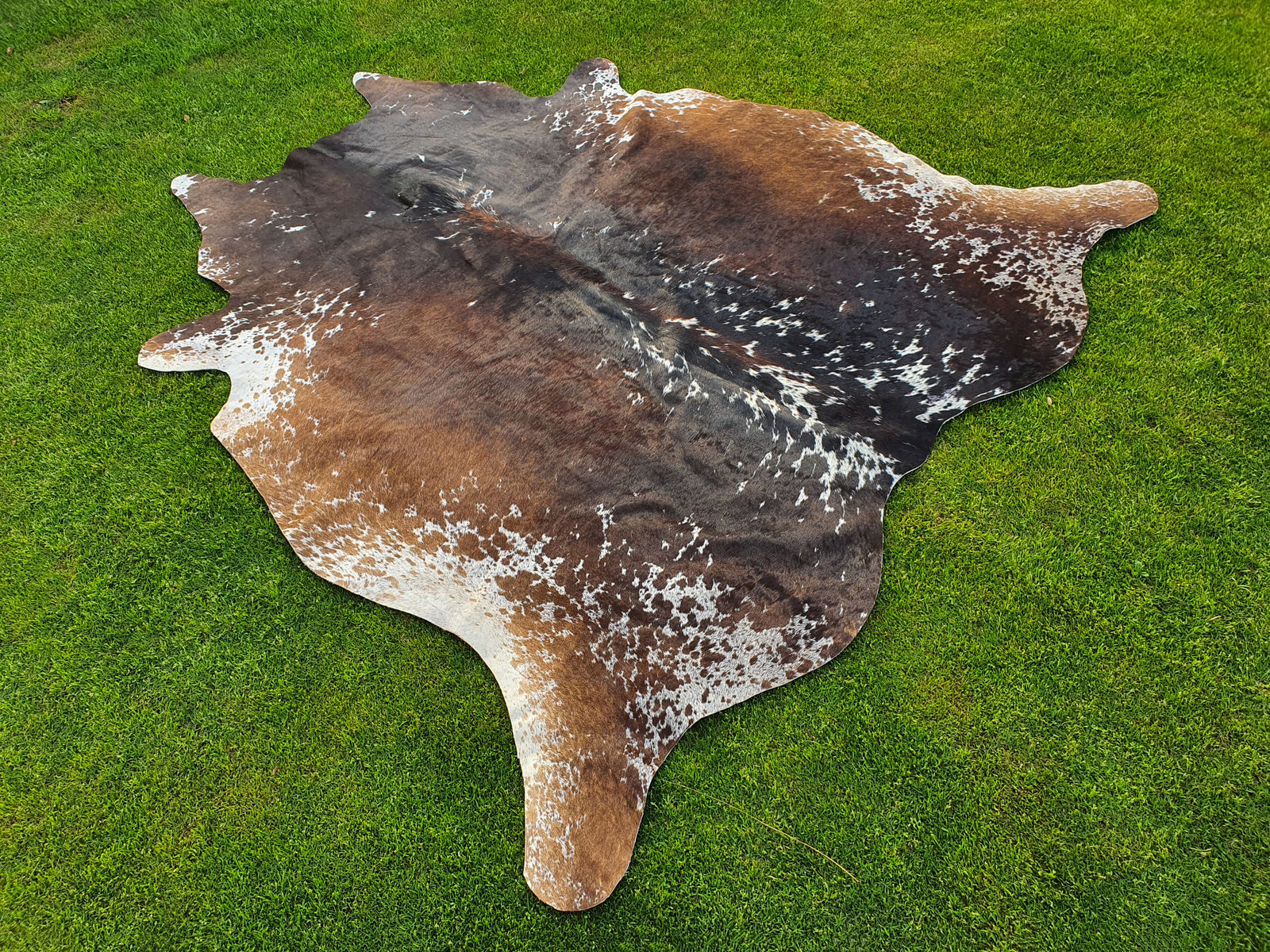 Luxury Tricolor Cowhide in Unique Design for Home Décor