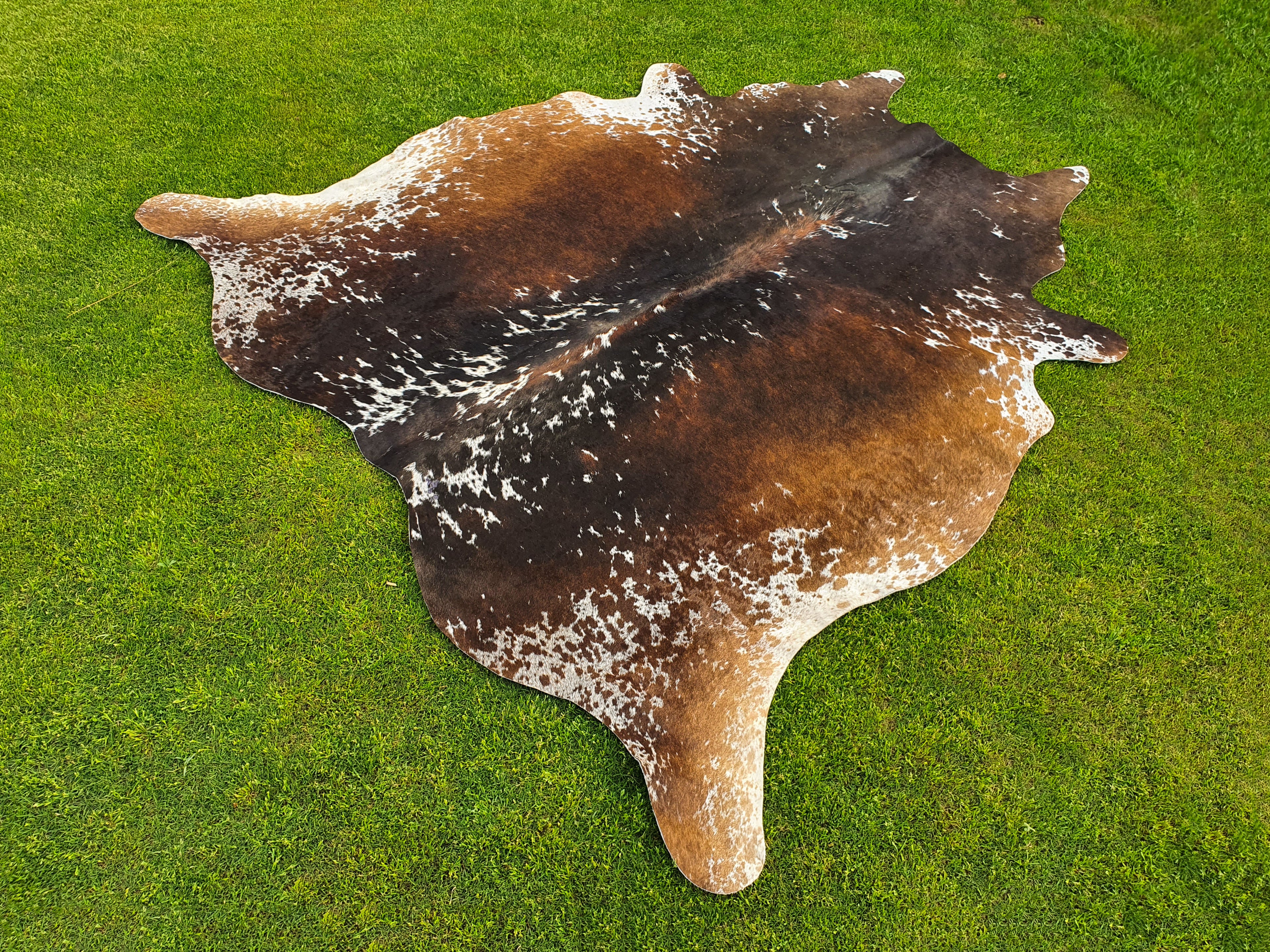 Luxury Tricolor Cowhide in Unique Design for Home Décor