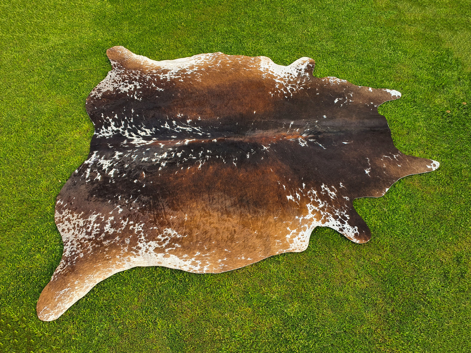 Luxury Tricolor Cowhide in Unique Design for Home Décor