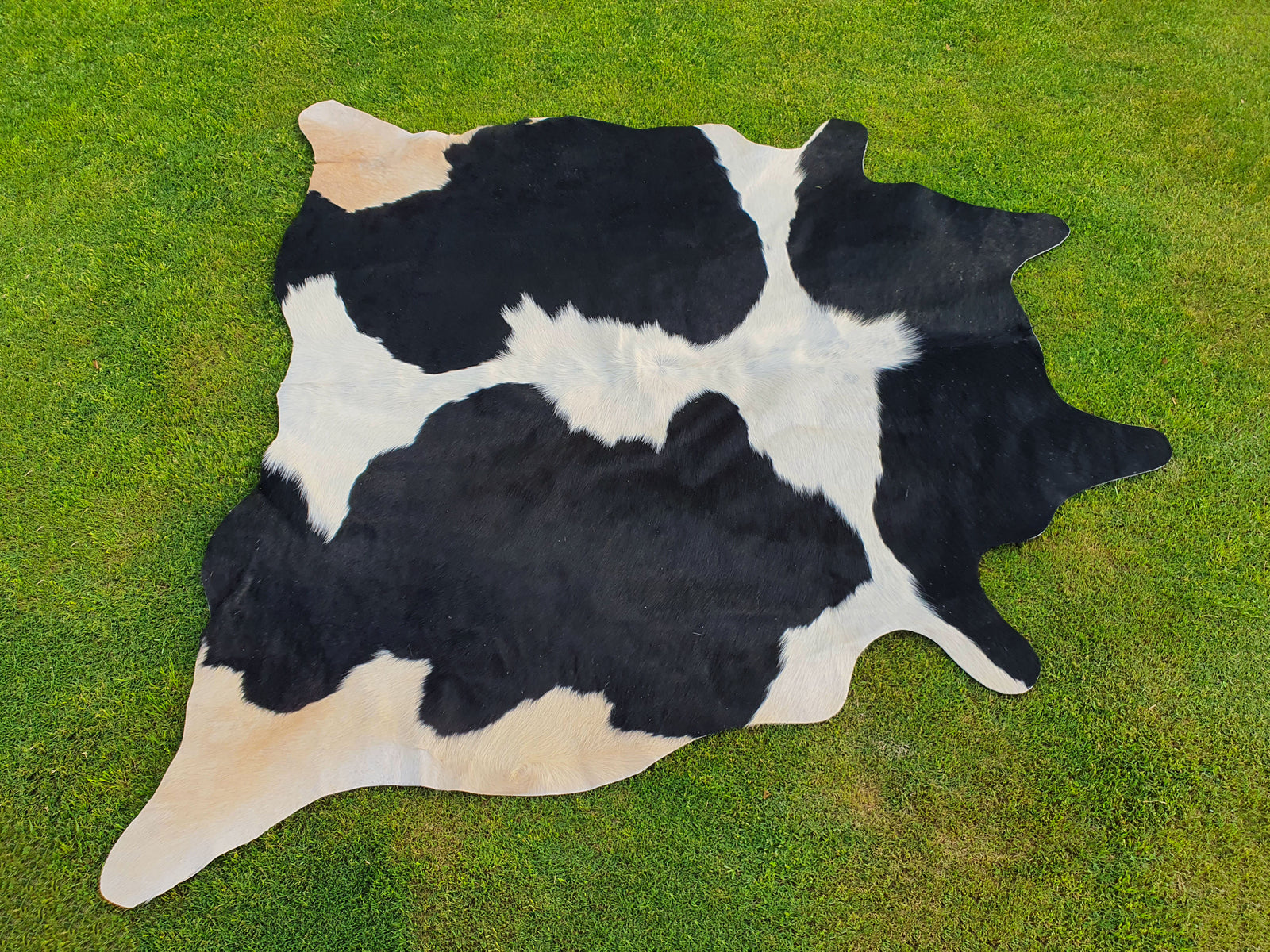 Black and White Panda Print Luxury Cowhide Rug