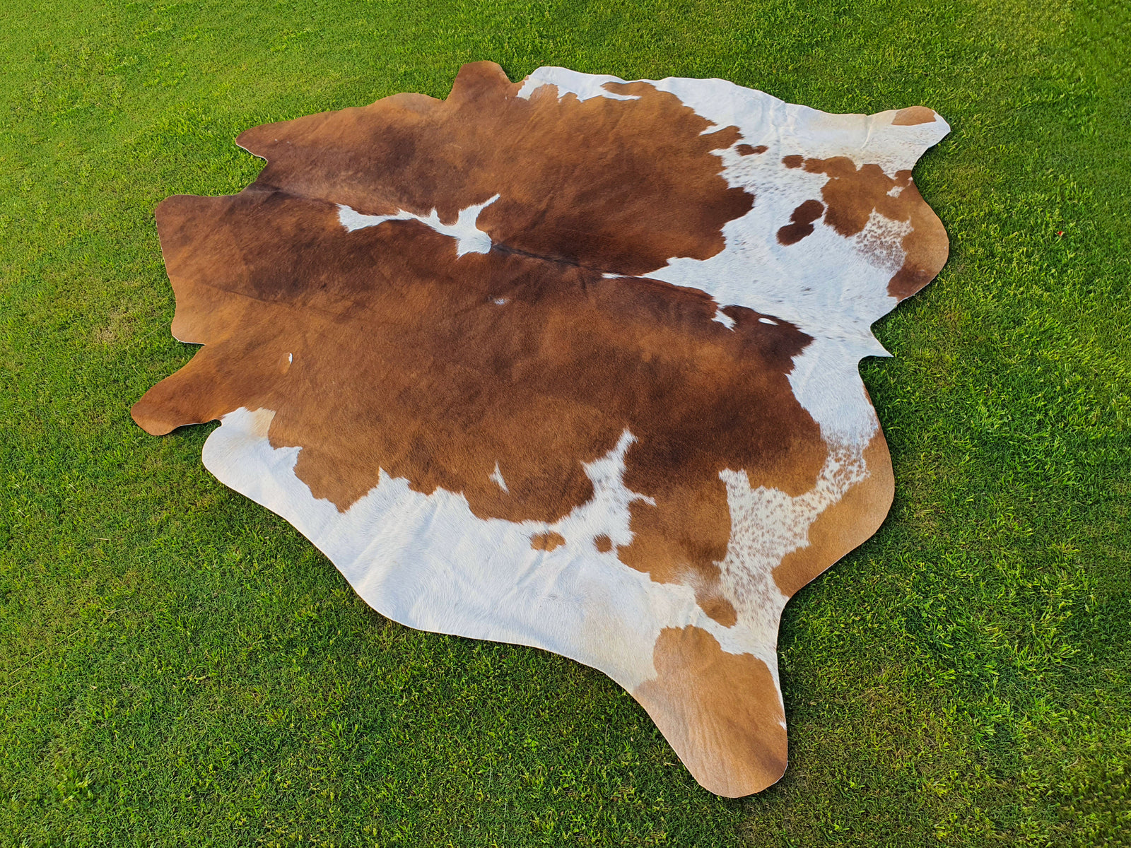 Brown and White Hair-On Cowhide Rug in Panda Print