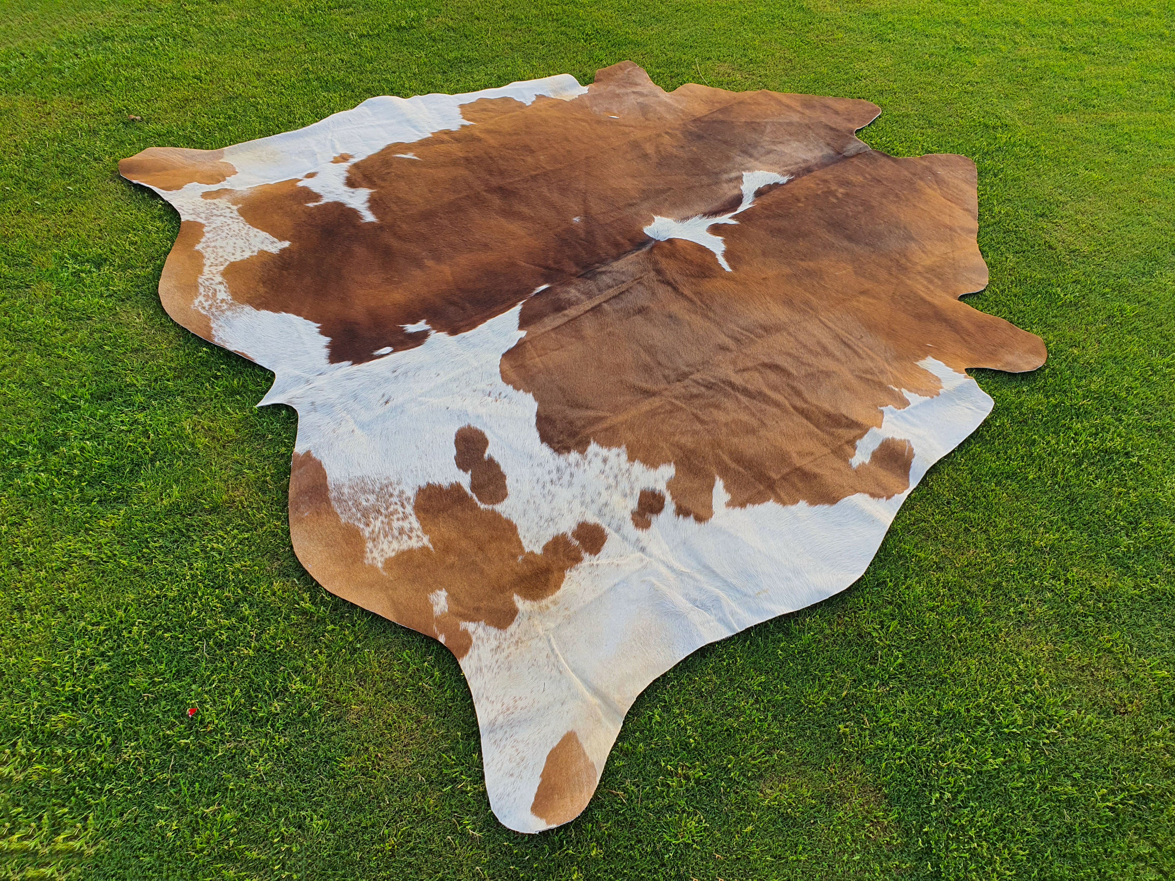 Brown and White Hair-On Cowhide Rug in Panda Print