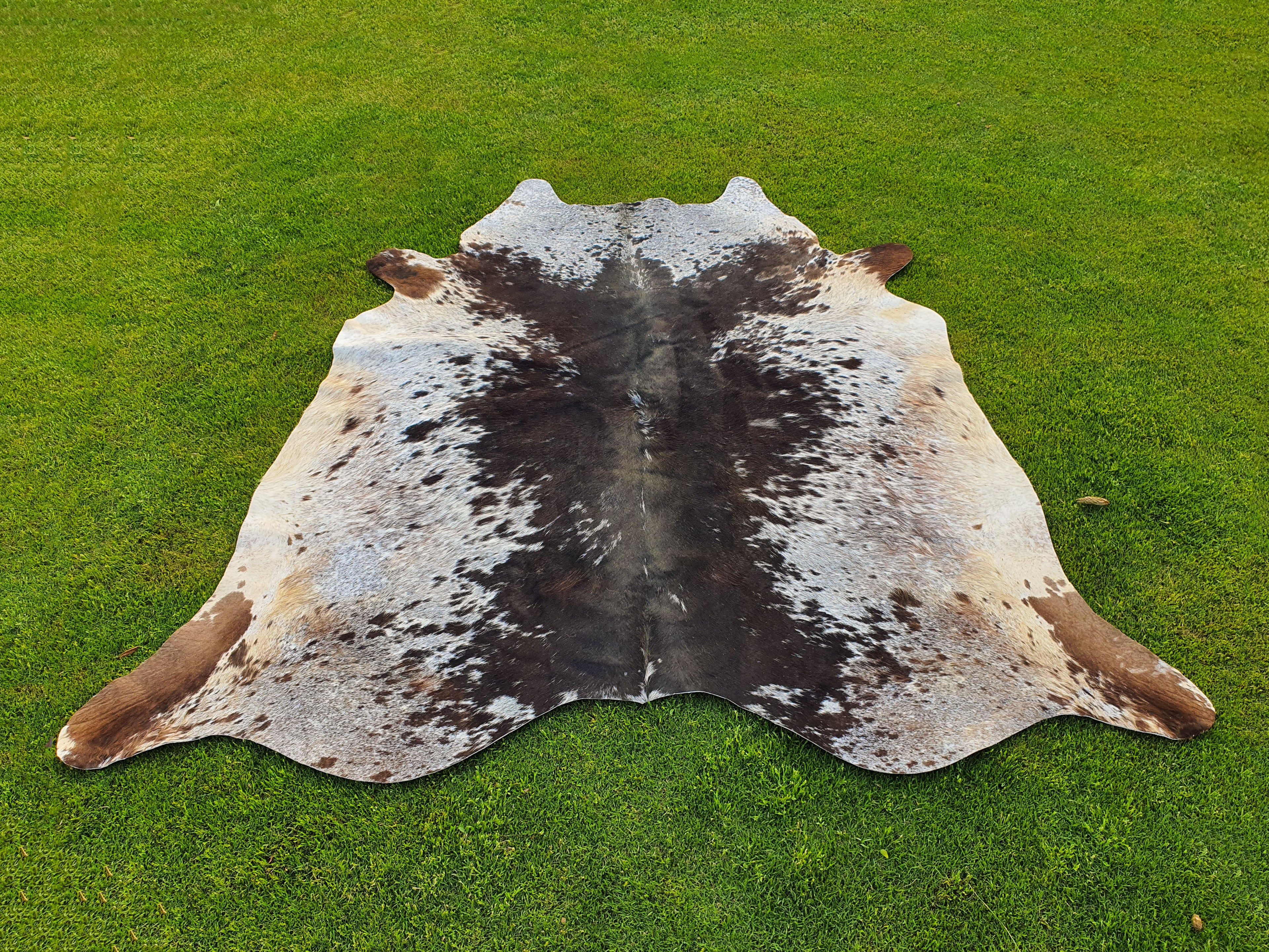 Tricolor Black and White Speckled Cowhide Rug