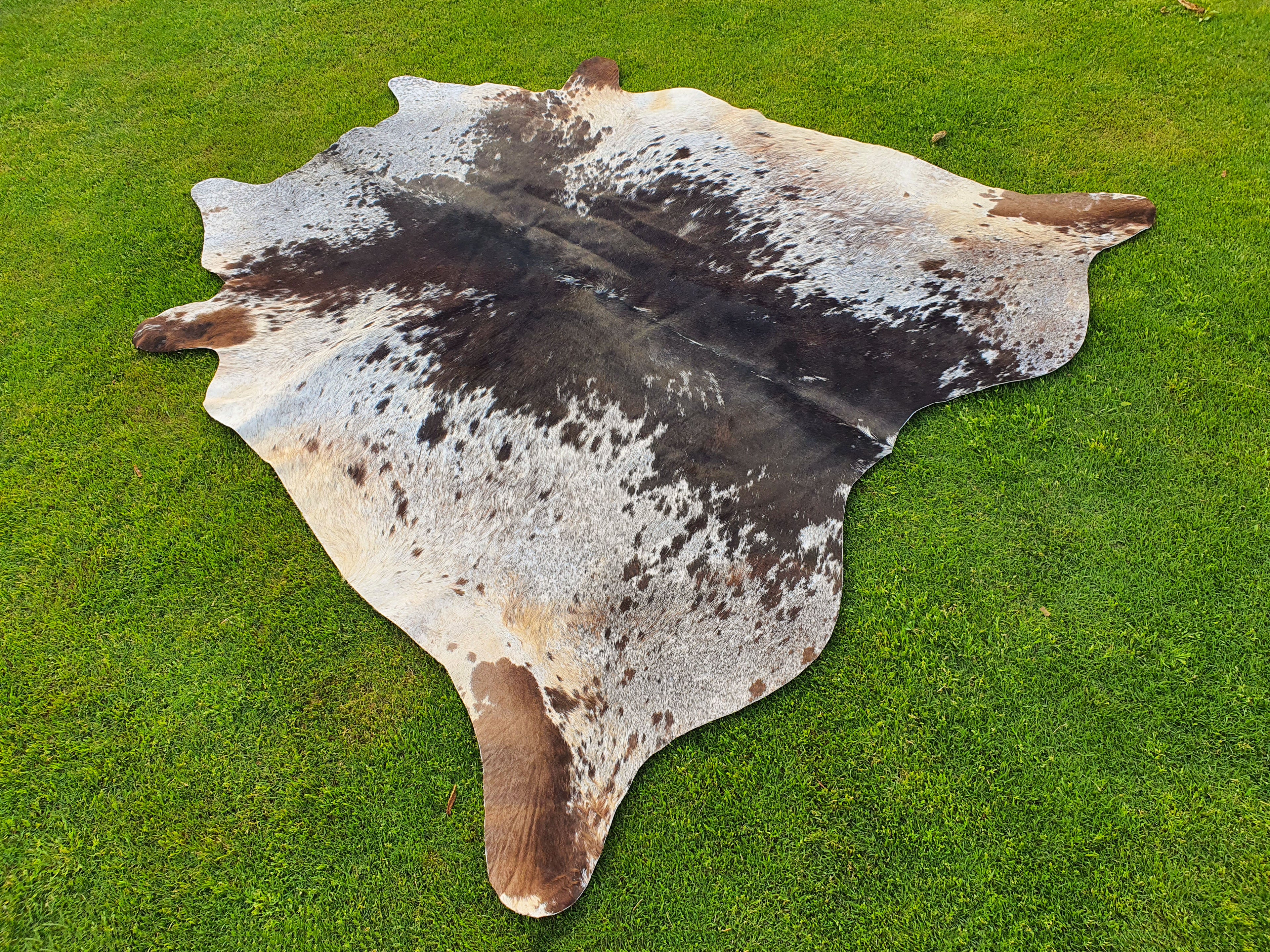 Tricolor Black and White Speckled Cowhide Rug