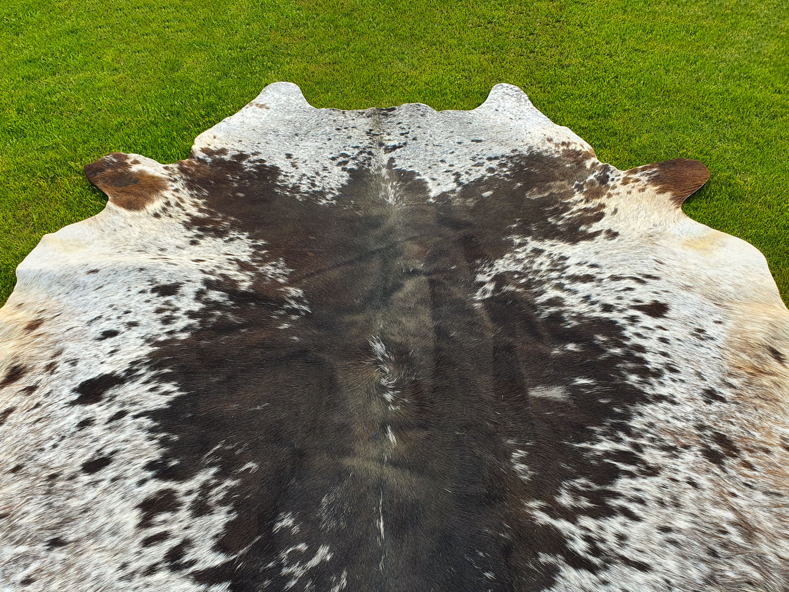 Tricolor Black and White Speckled Cowhide Rug
