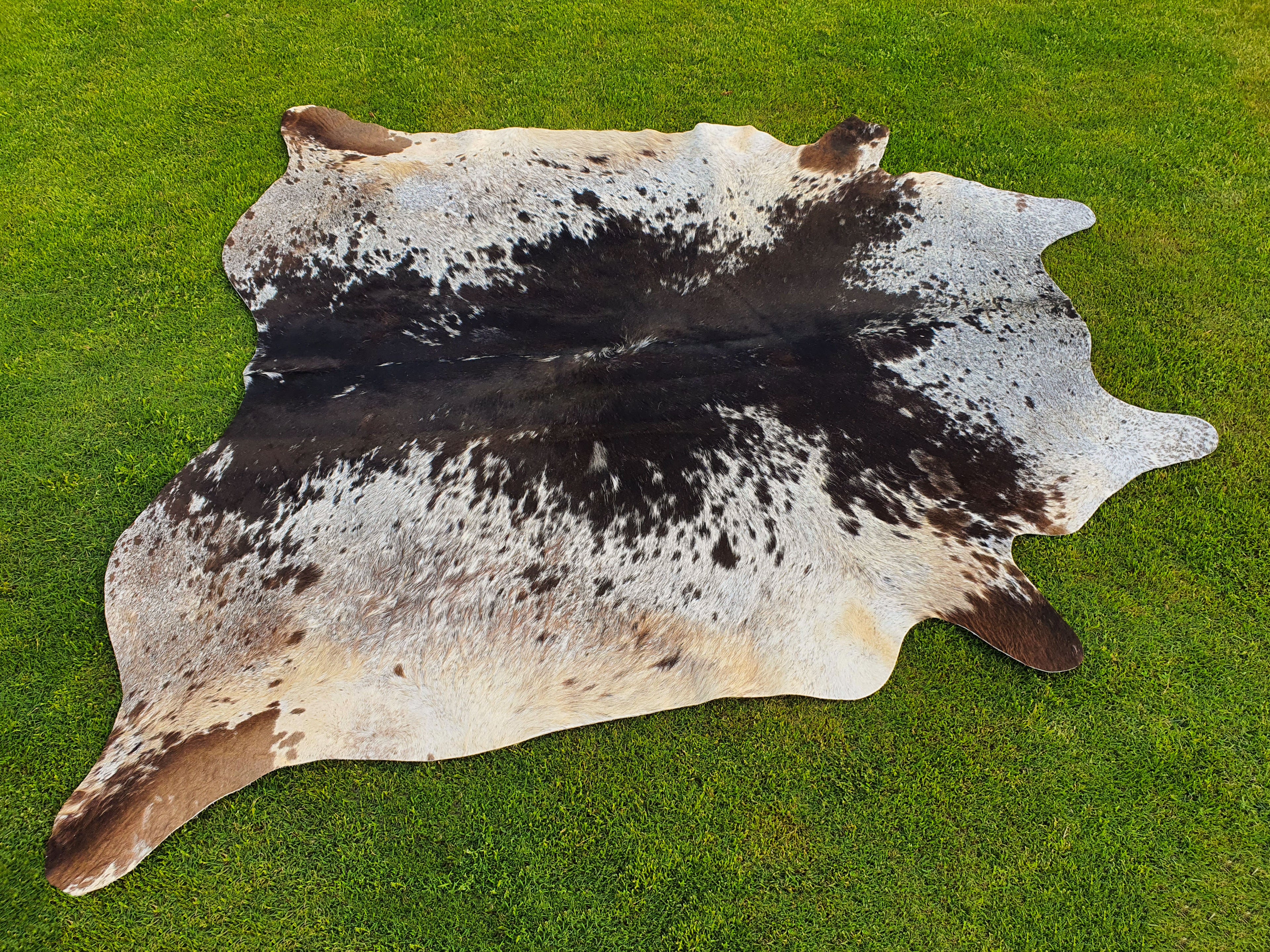 Tricolor Black and White Speckled Cowhide Rug