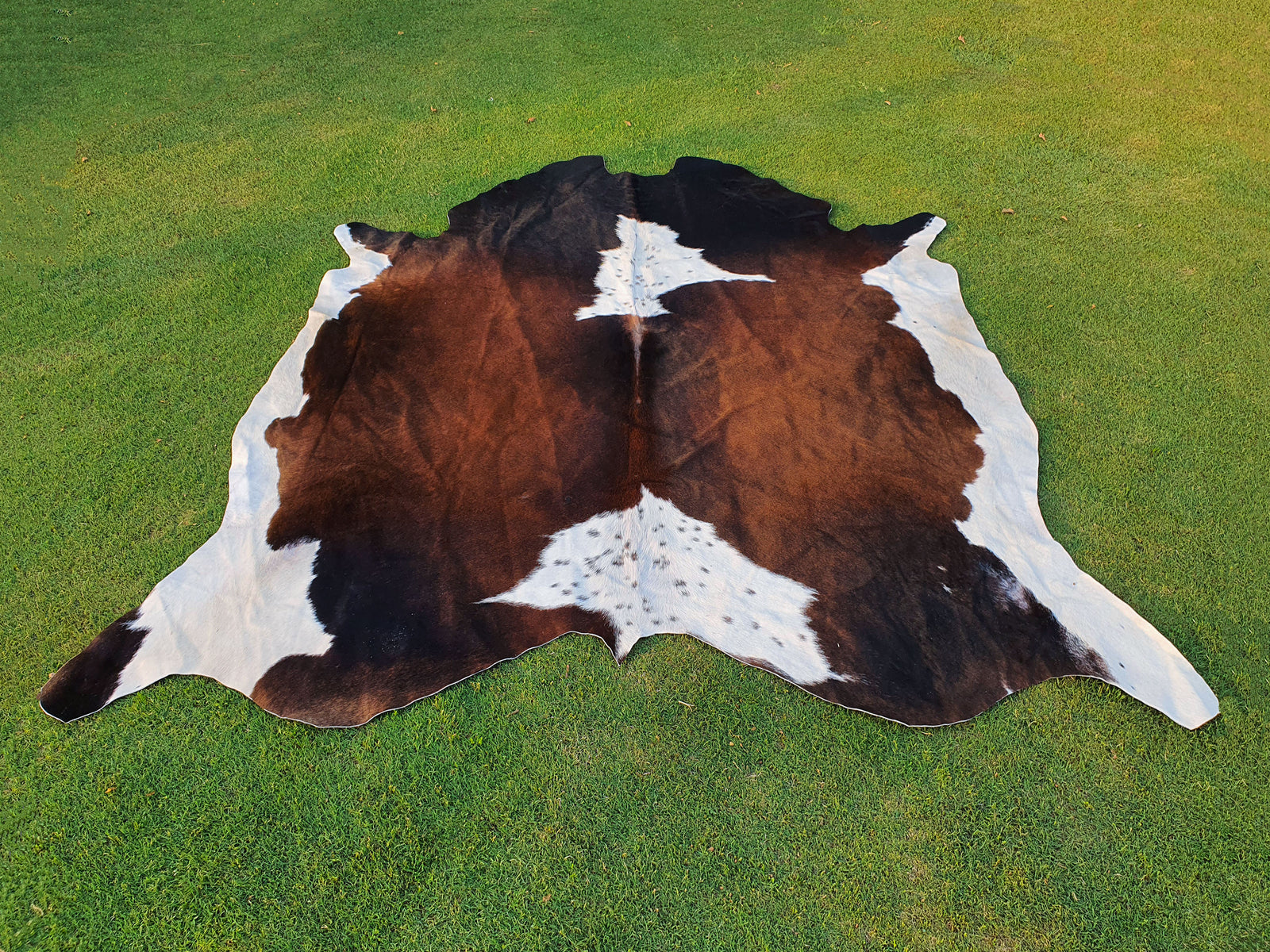 Chocolate Brown and White Tricolor Panda Print Cowhide Rug