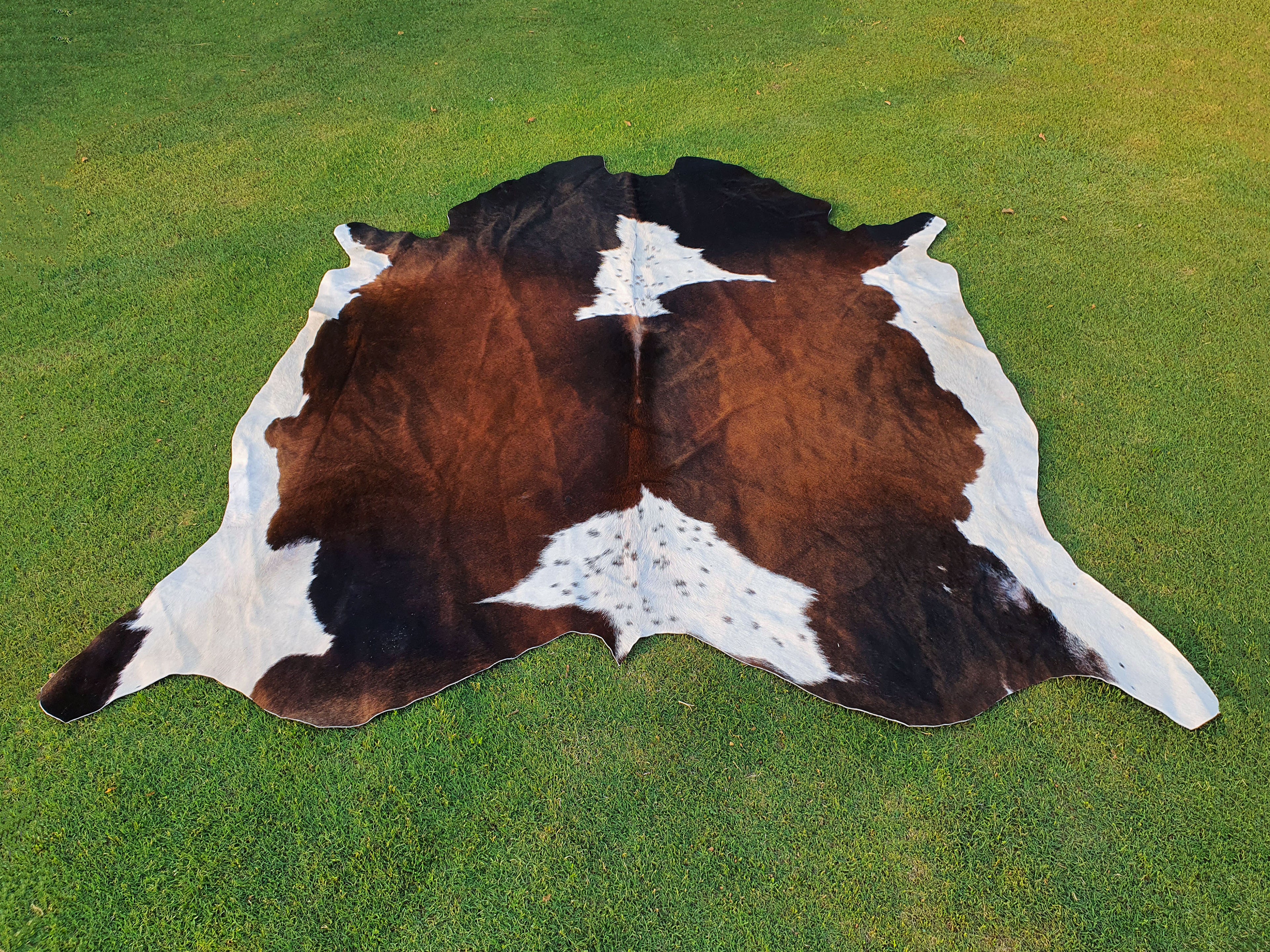 Chocolate Brown and White Tricolor Panda Print Cowhide Rug