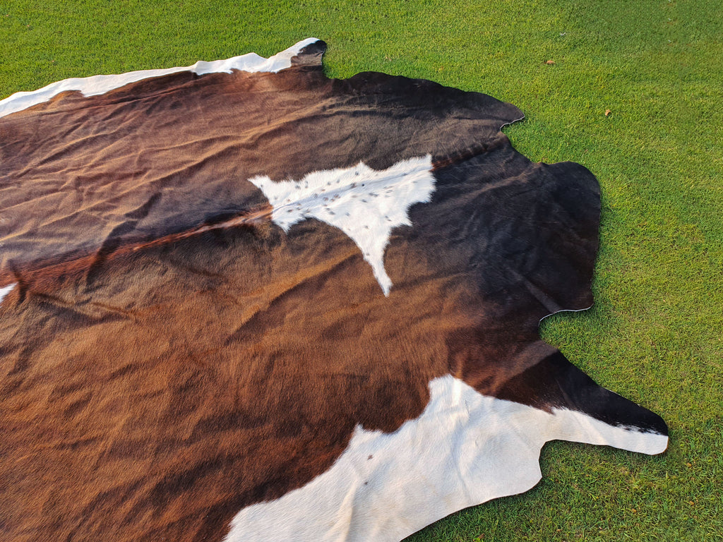 Chocolate Brown and White Tricolor Panda Print Cowhide Rug