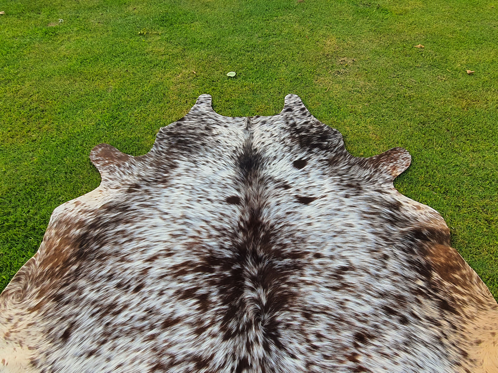 Exclusive Tricolor Cowhide Rug in Salt and Pepper Print