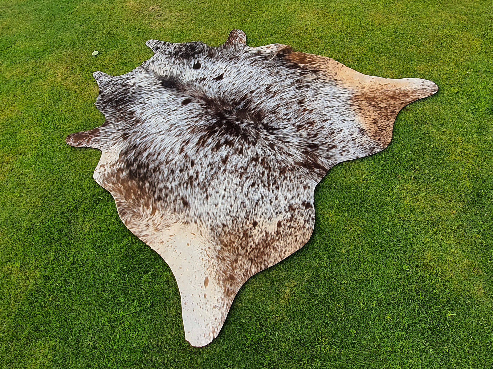 Exclusive Tricolor Cowhide Rug in Salt and Pepper Print