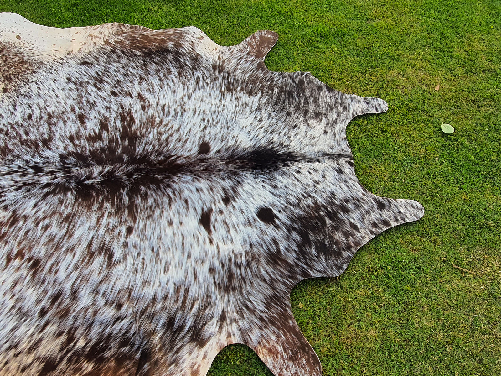 Exclusive Tricolor Cowhide Rug in Salt and Pepper Print