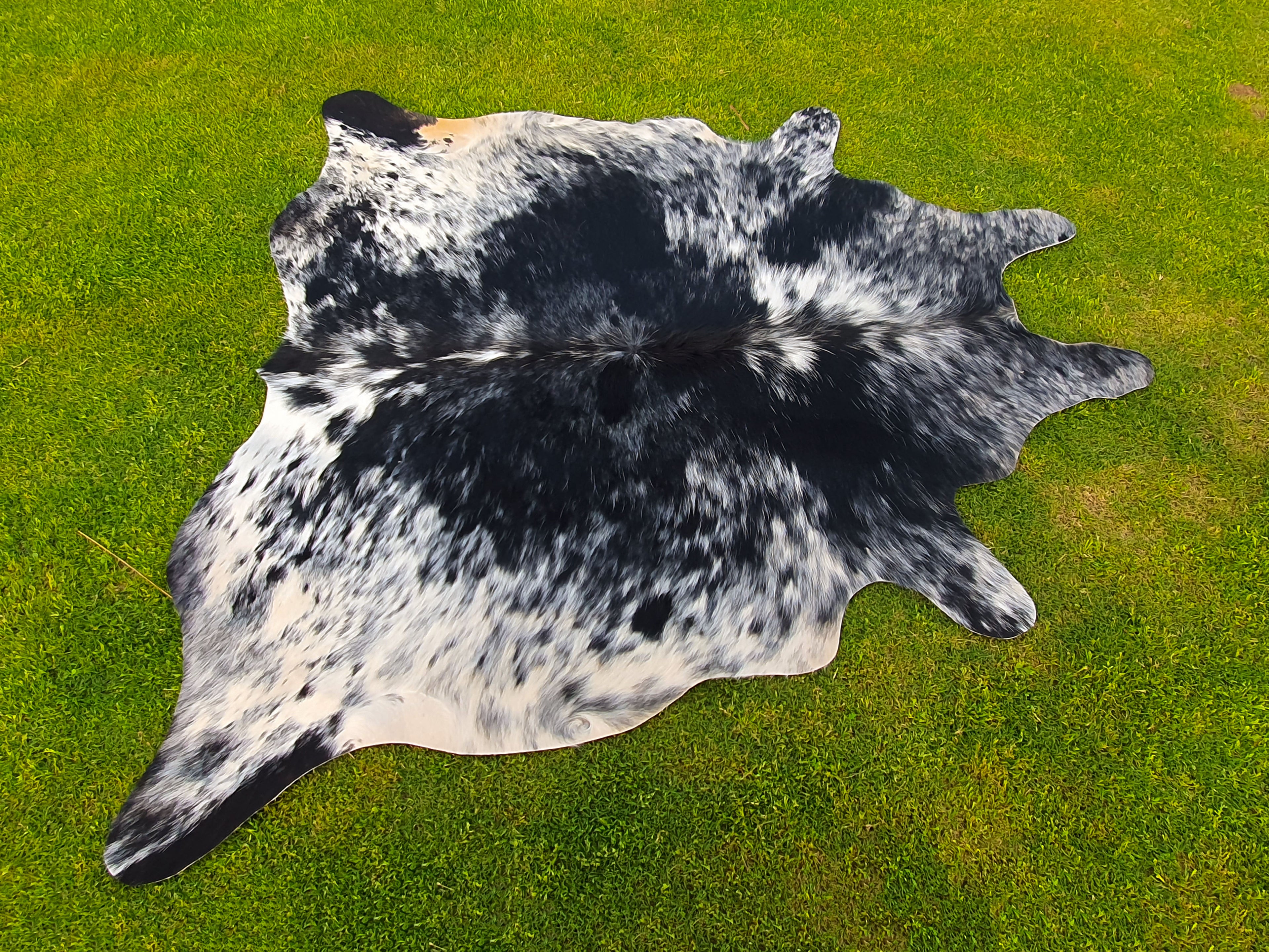 Luxury Black and White Cowhide with Salt and Pepper Print