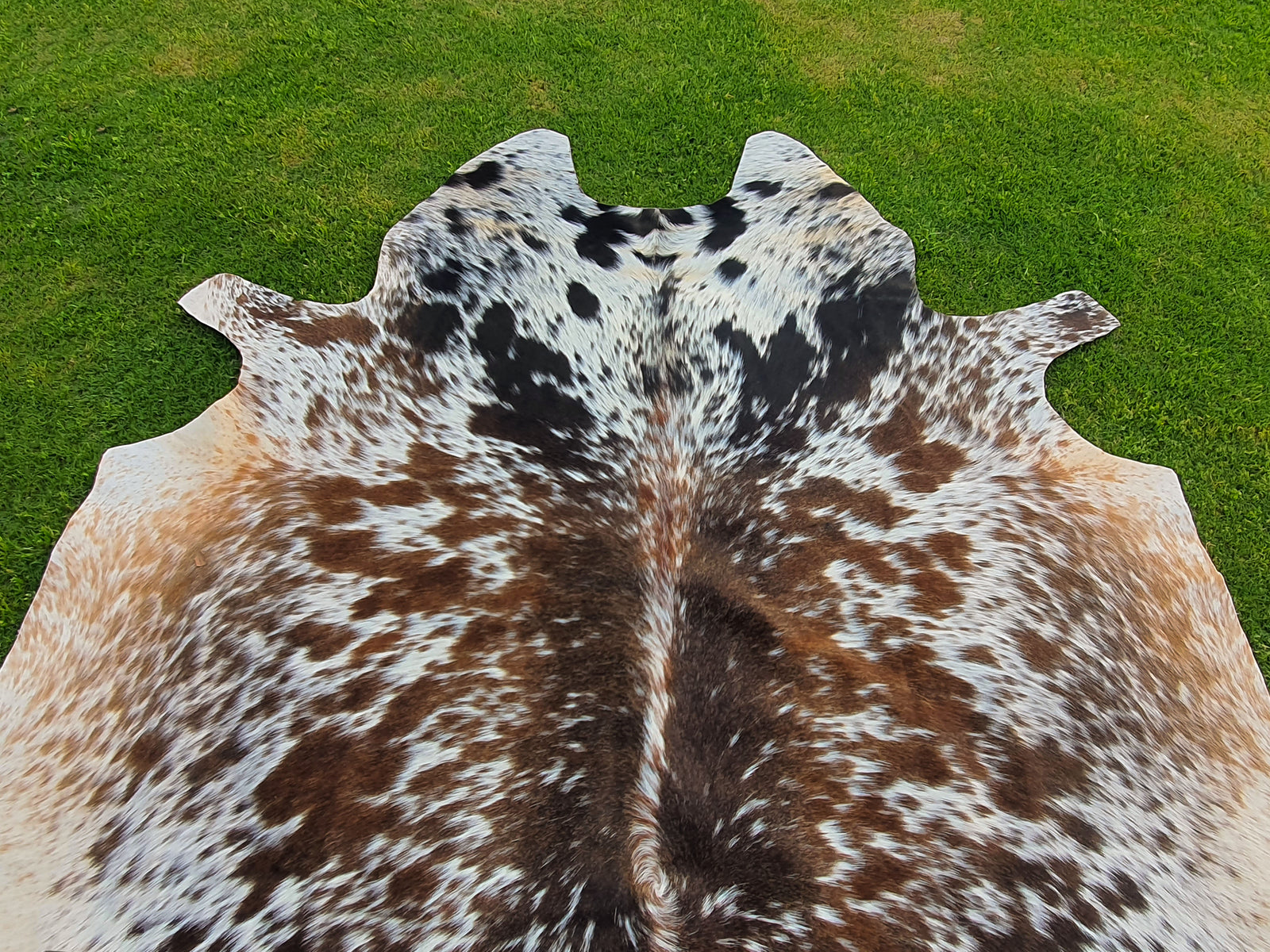 Speckled Pattern Cowhide Rugs Style 07