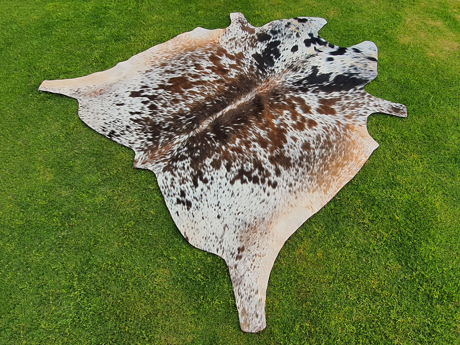 Tricolor Speckled Cowhide Rug for Home Décor