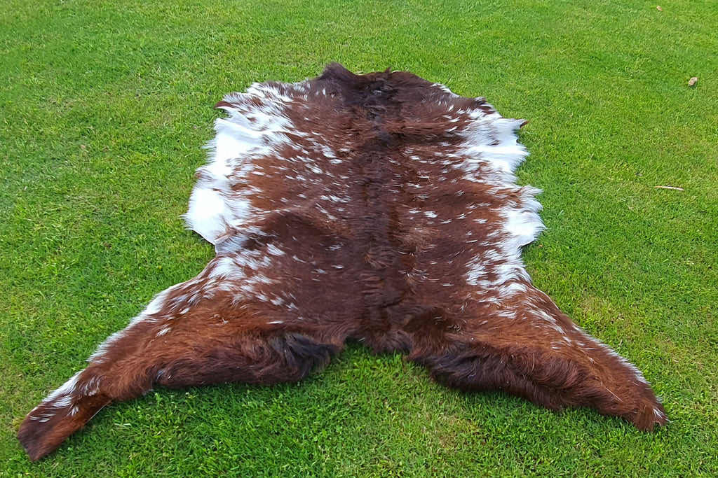 Exclusive Brown and White Goatskin Pelt