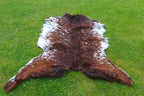 Exclusive Brown and White Goatskin Pelt