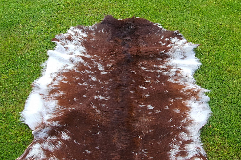 Exclusive Brown and White Goatskin Pelt