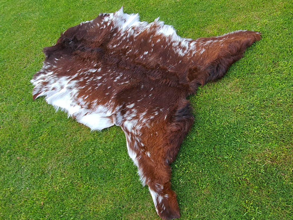 Exclusive Brown and White Goatskin Pelt