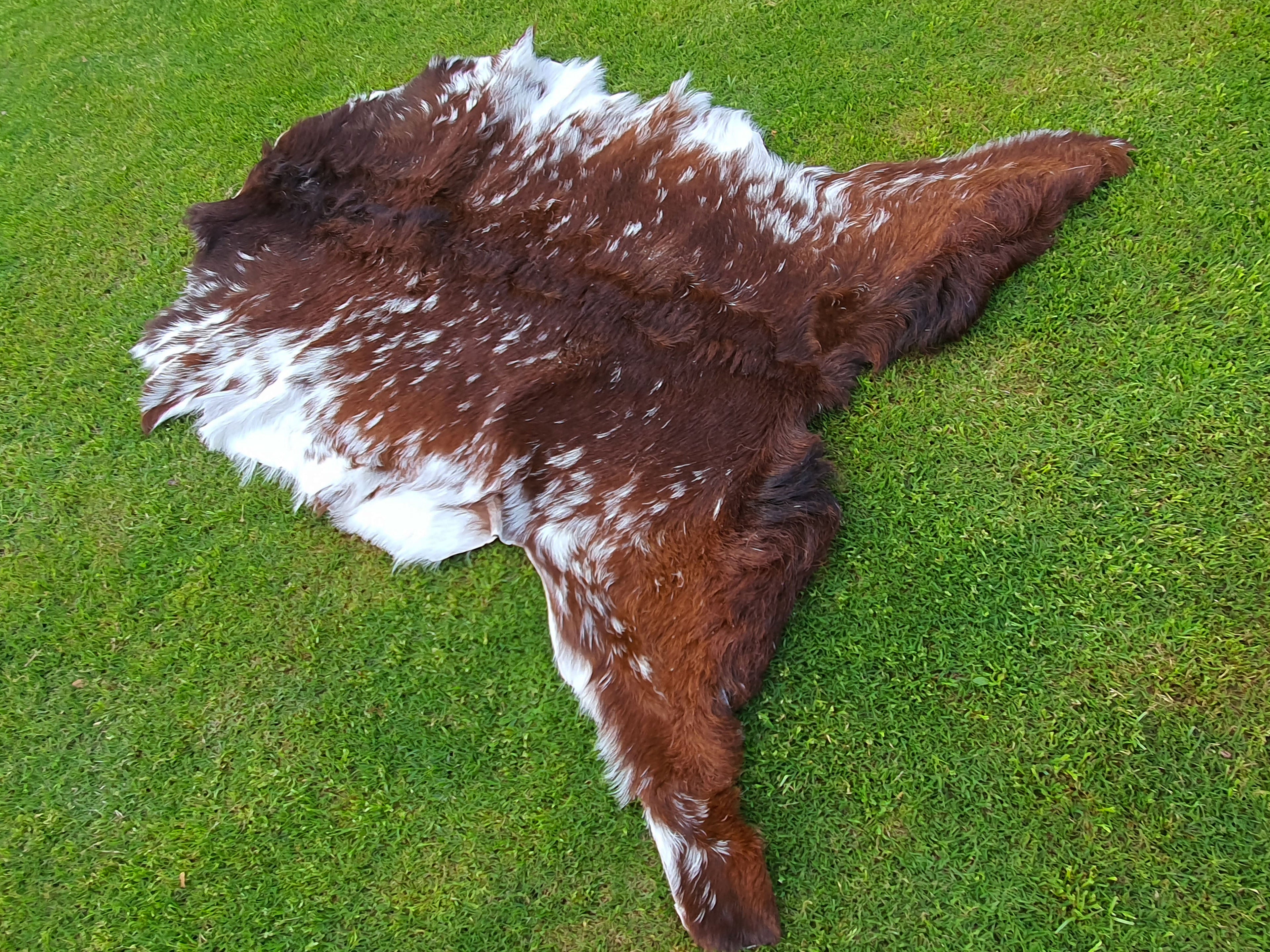 Exclusive Brown and White Goatskin Pelt