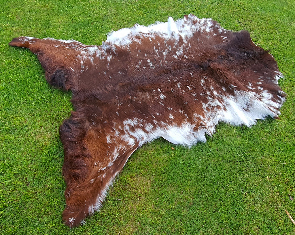 Exclusive Brown and White Goatskin Pelt
