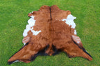 Brown and White Tricolor Goatskin Rug