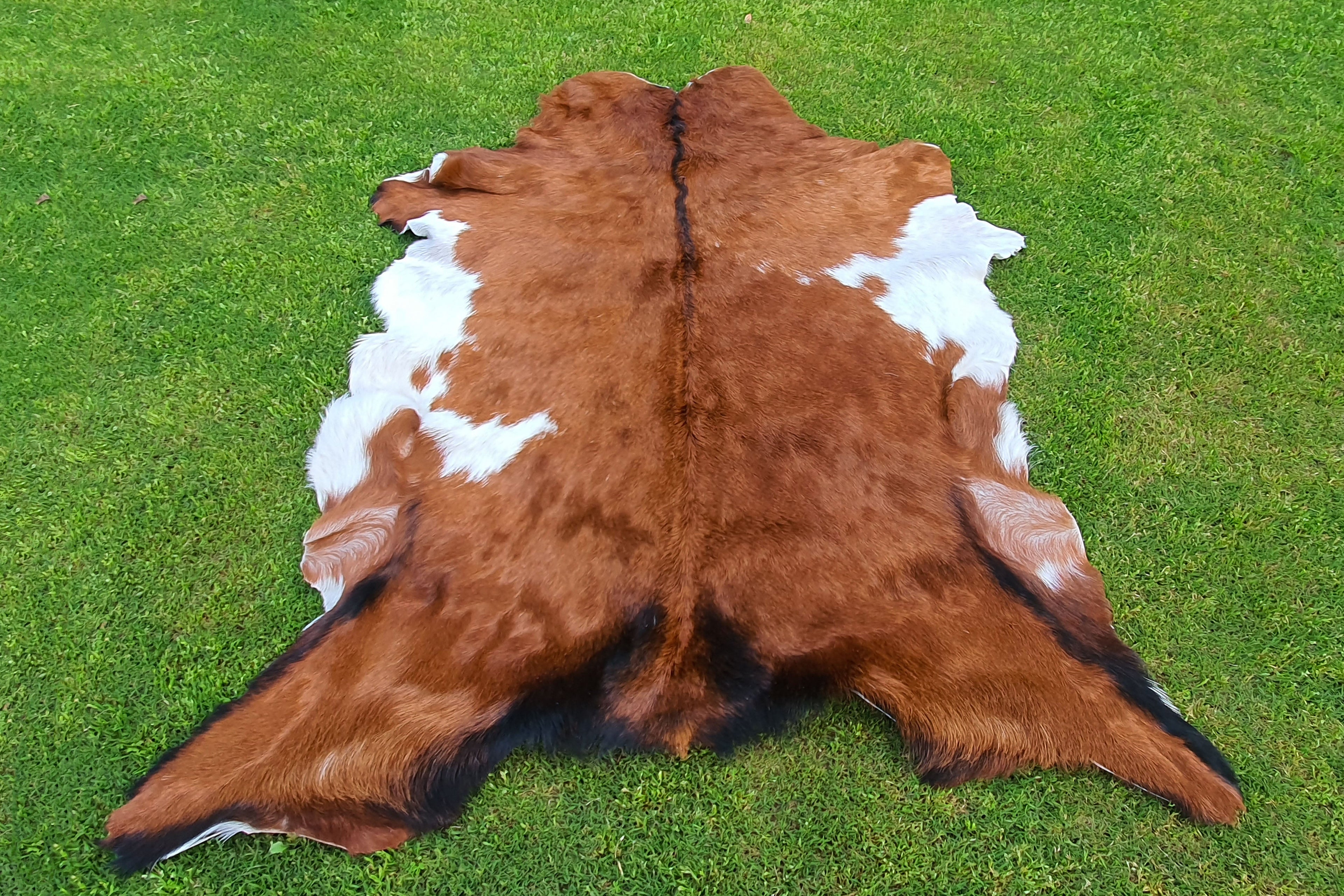 Brown and White Tricolor Goatskin Rug