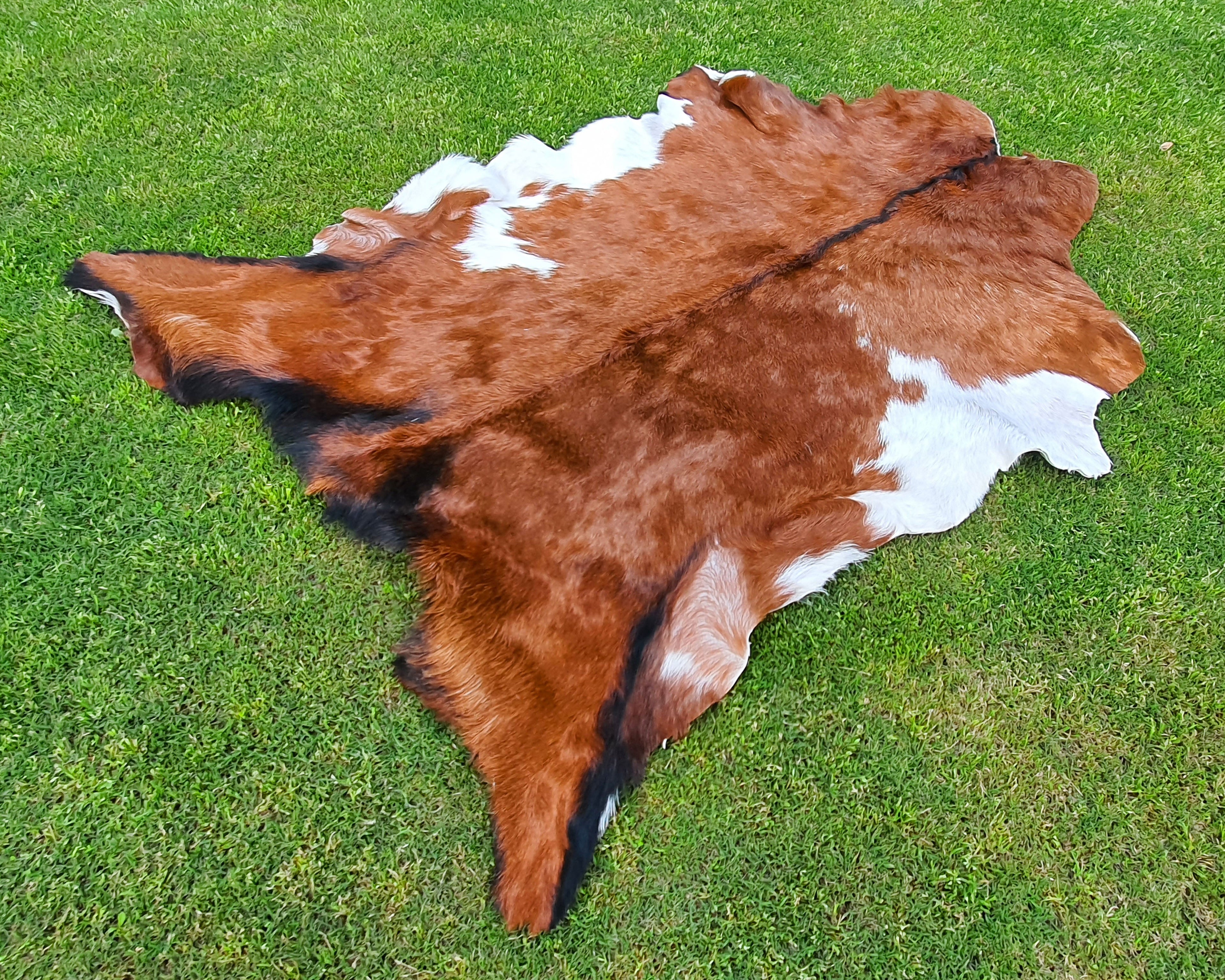 Brown and White Tricolor Goatskin Rug