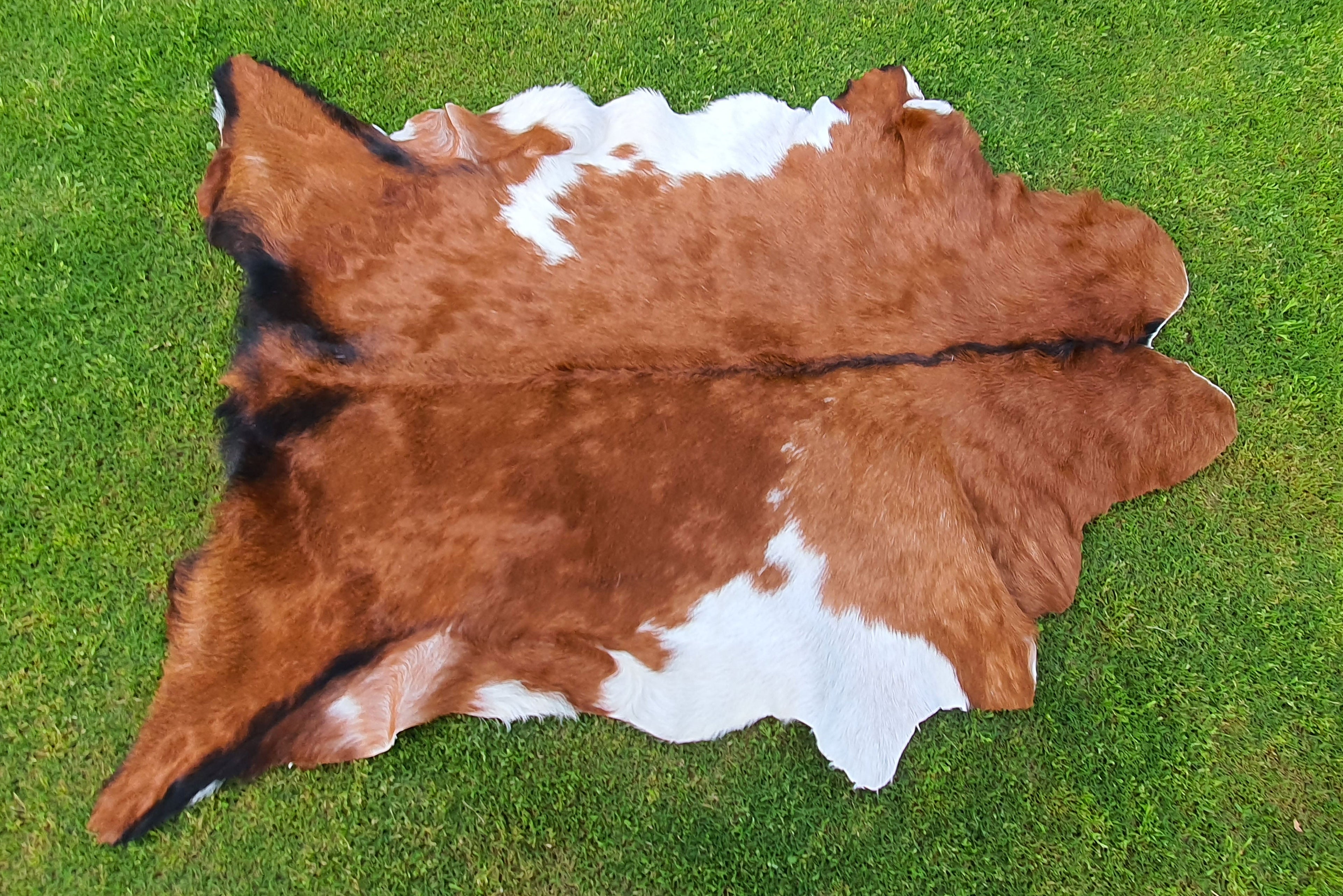 Brown and White Tricolor Goatskin Rug