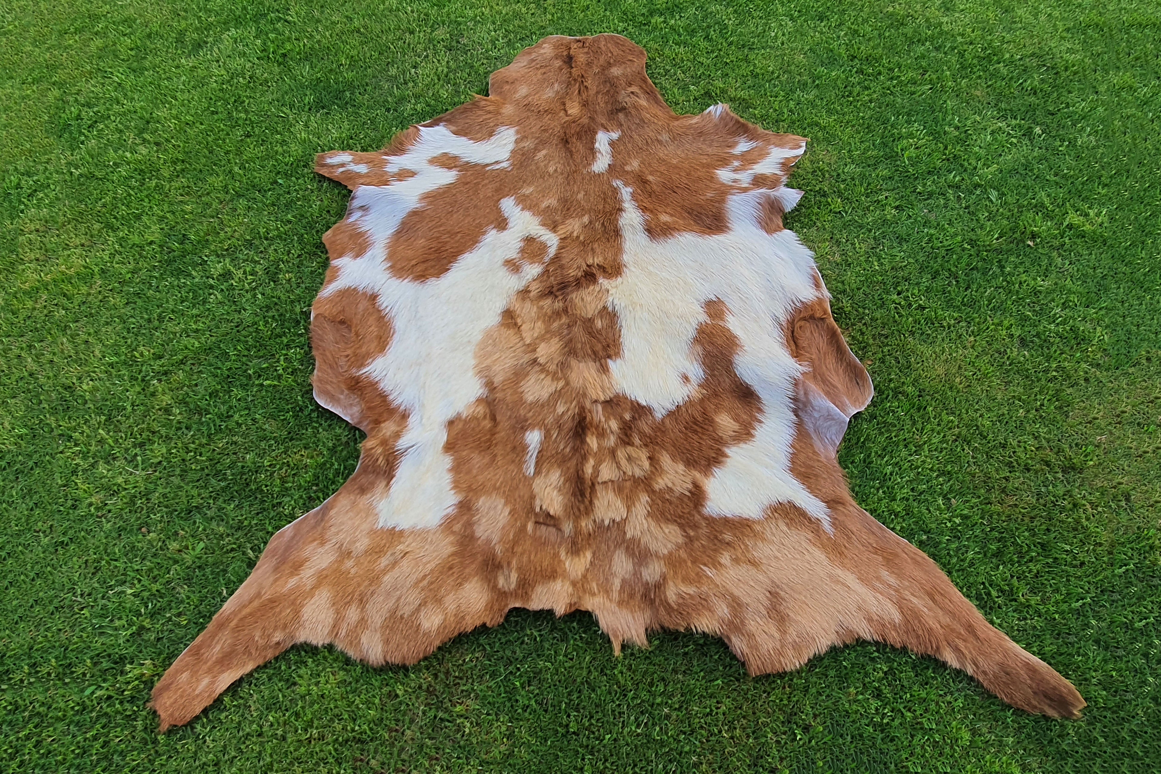 Beige and White Color Exclusive Goatskin Pelt