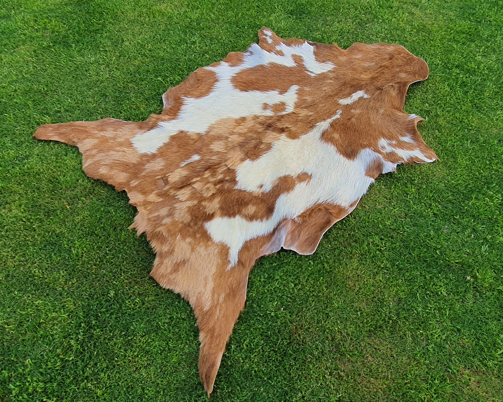 Beige and White Color Exclusive Goatskin Pelt