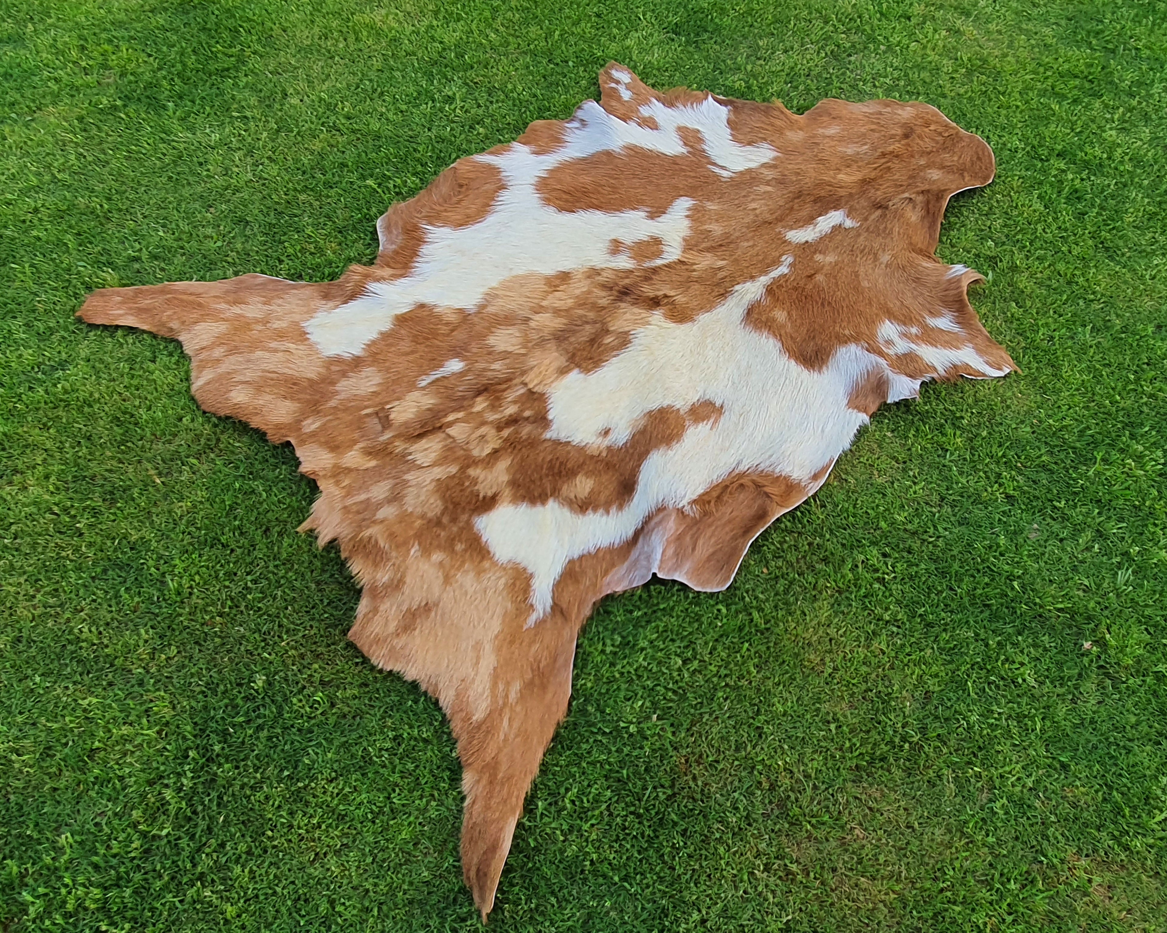 Beige and White Color Exclusive Goatskin Pelt