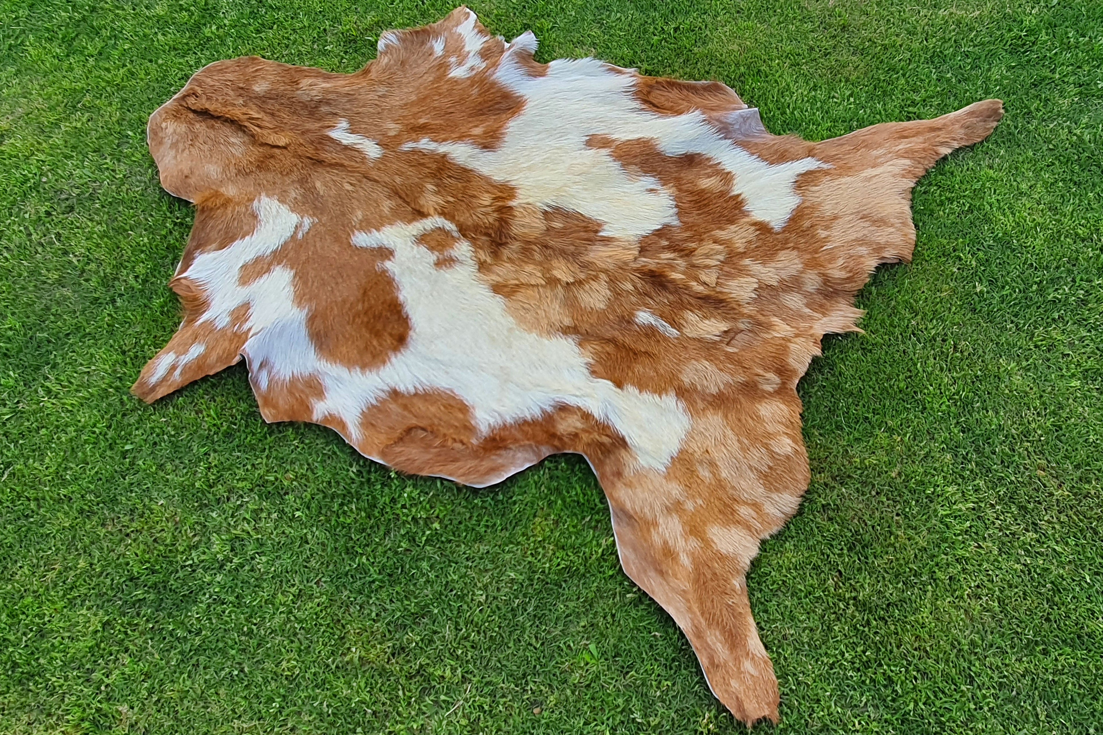 Beige and White Color Exclusive Goatskin Pelt