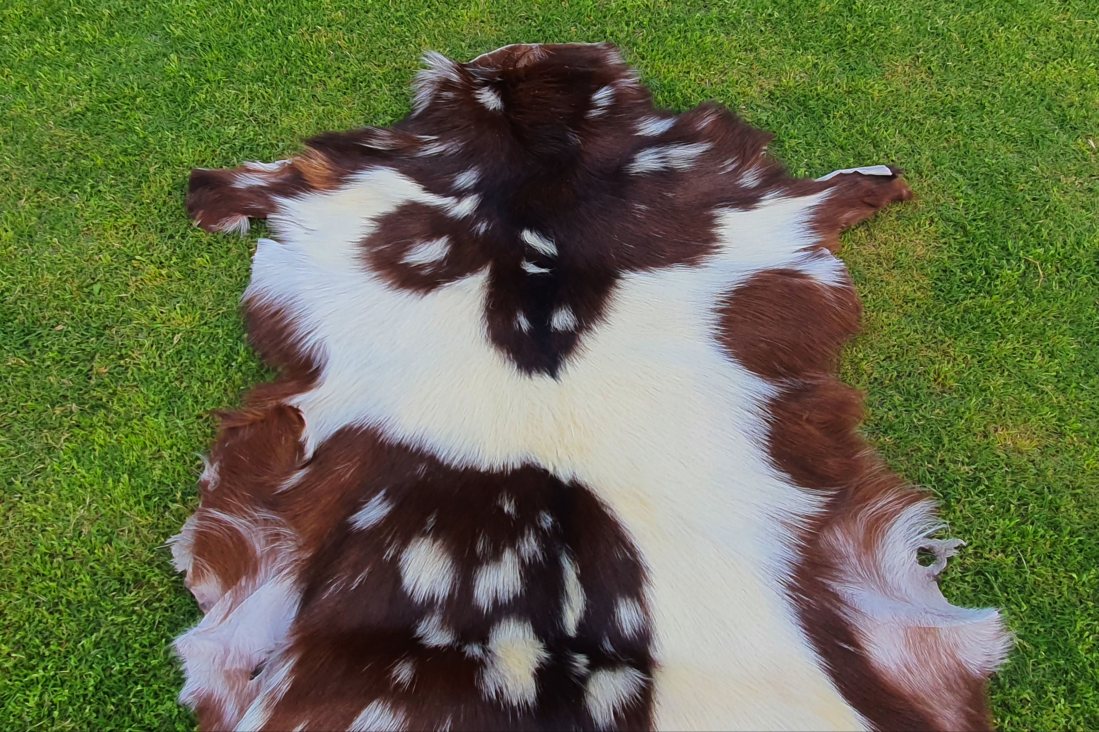 Luxury Goatskin Pelt
