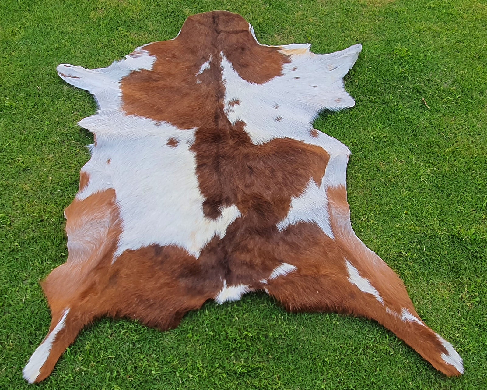 Brown and White Goatskin Pelt