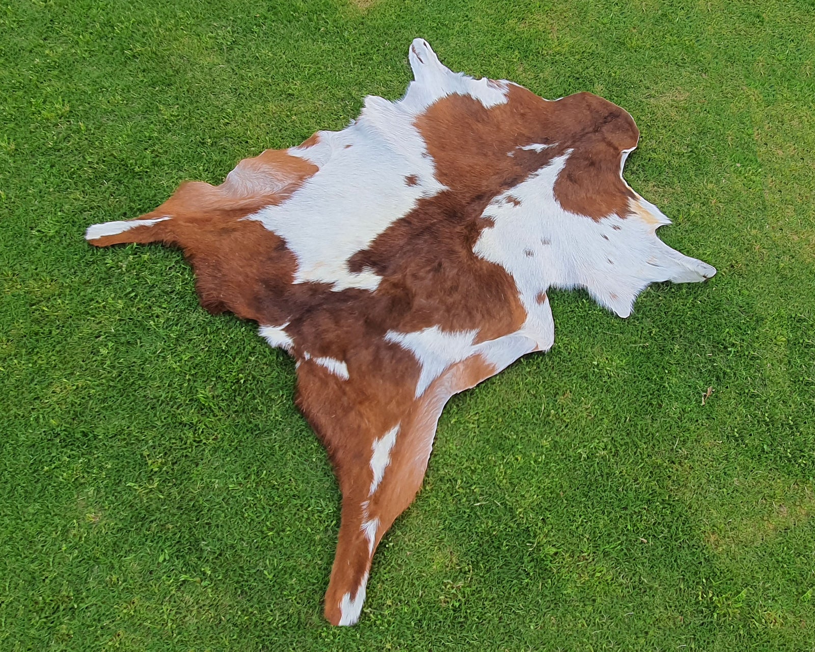 Brown and White Goatskin Pelt