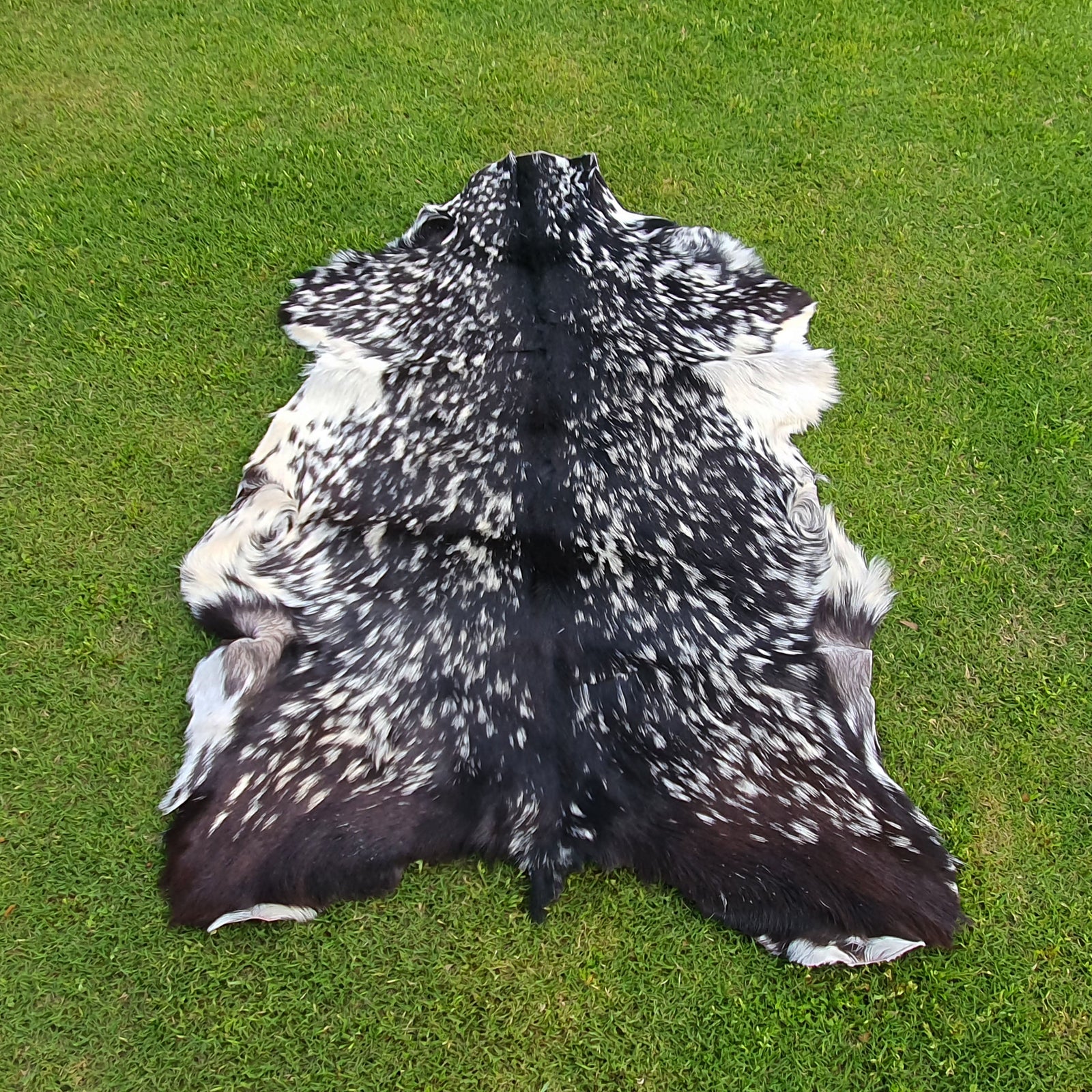 Luxury Spotted Goatskin Rug