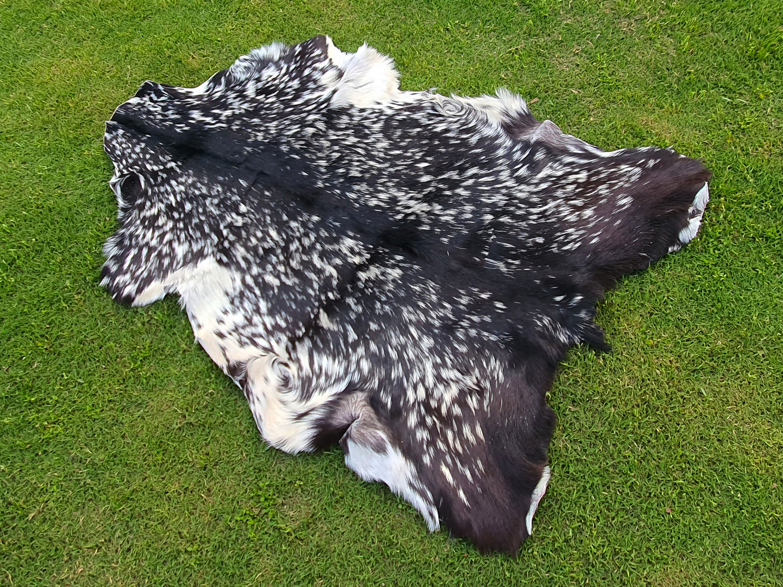 Luxury Spotted Goatskin Rug