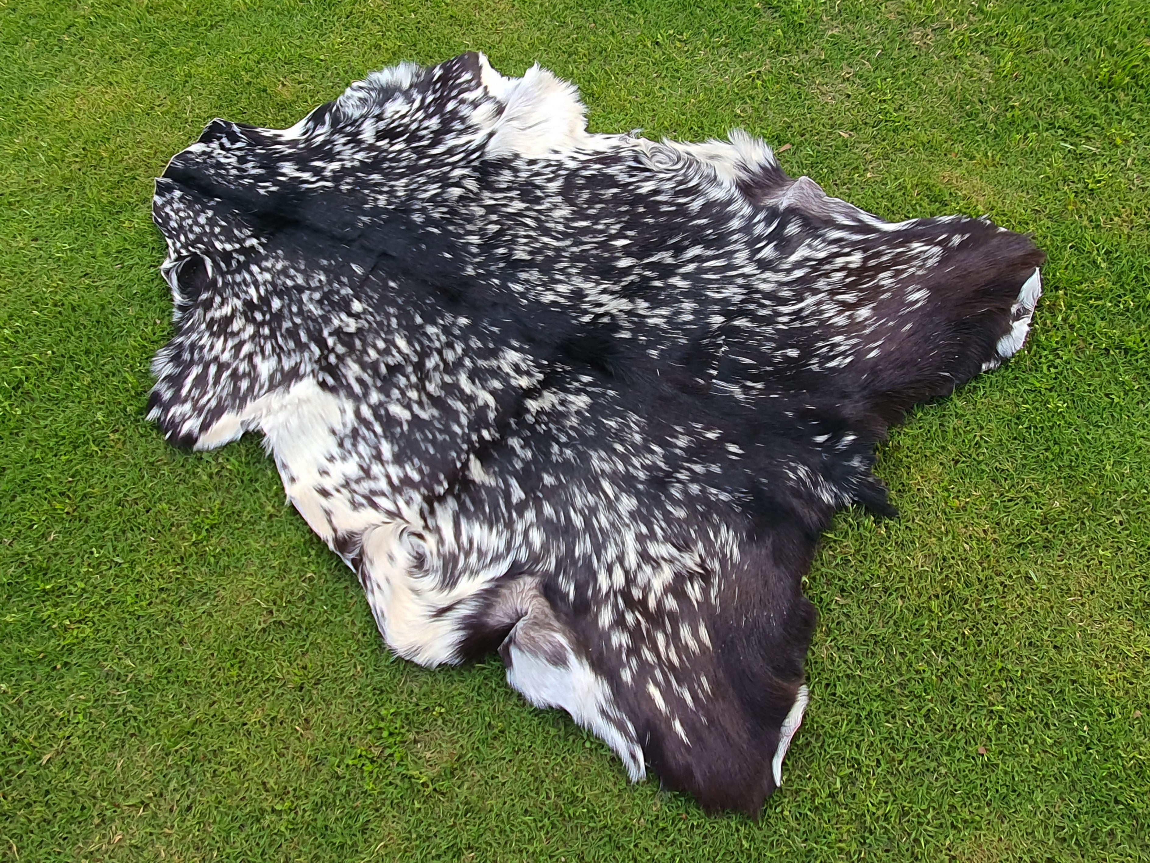 Luxury Spotted Goatskin Rug
