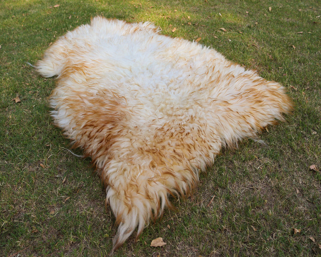 Wool Sheepskin Rug – White with Brown Tips