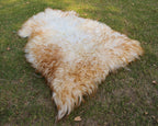 Wool Sheepskin Rug – White with Brown Tips