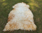 Wool Sheepskin Rug – White with Brown Tips