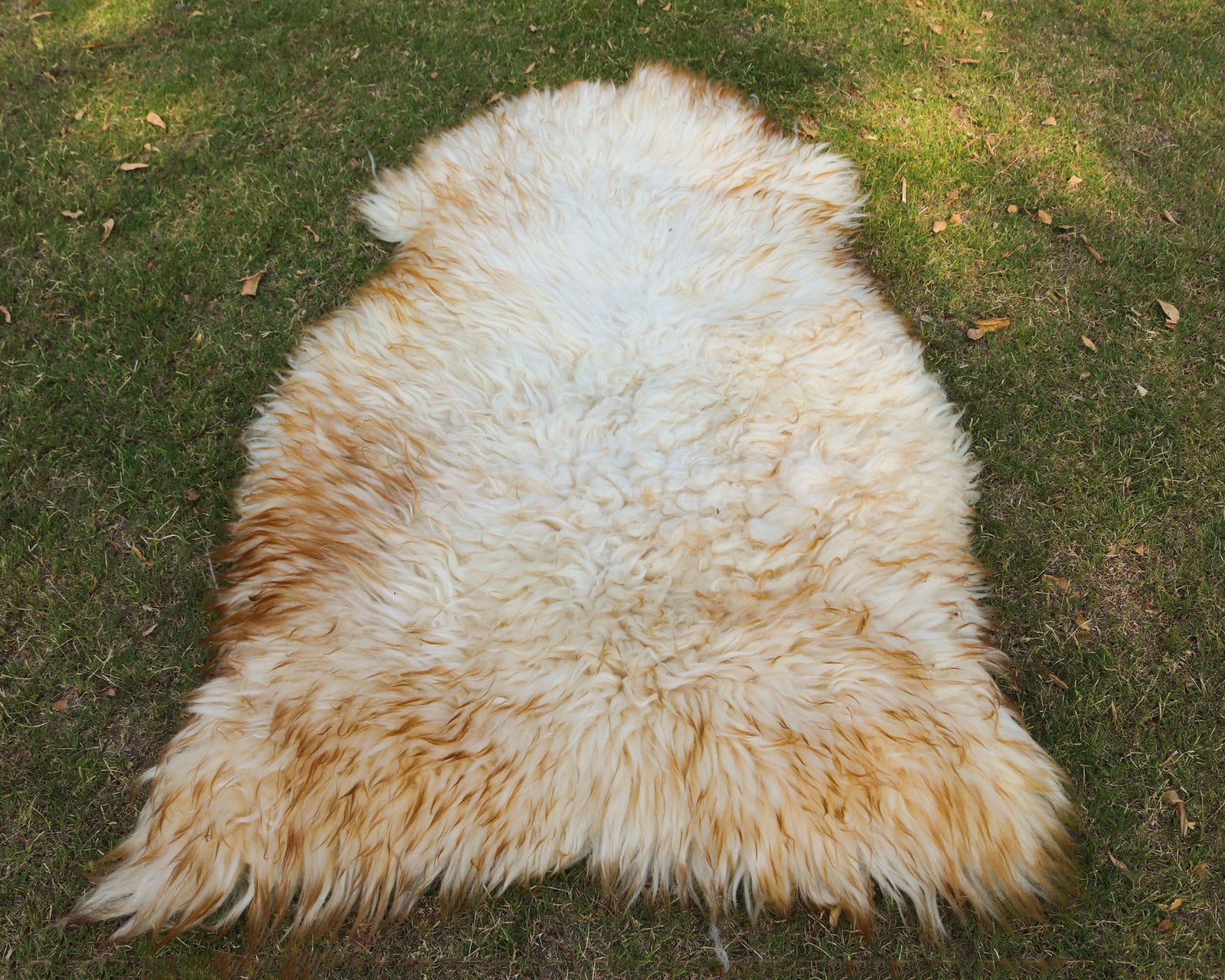 Wool Sheepskin Rug – White with Brown Tips