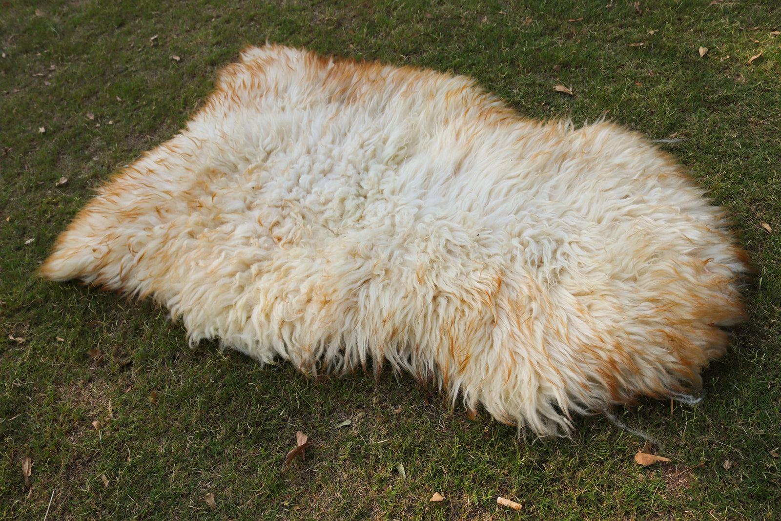Wool Sheepskin Rug – White with Brown Tips