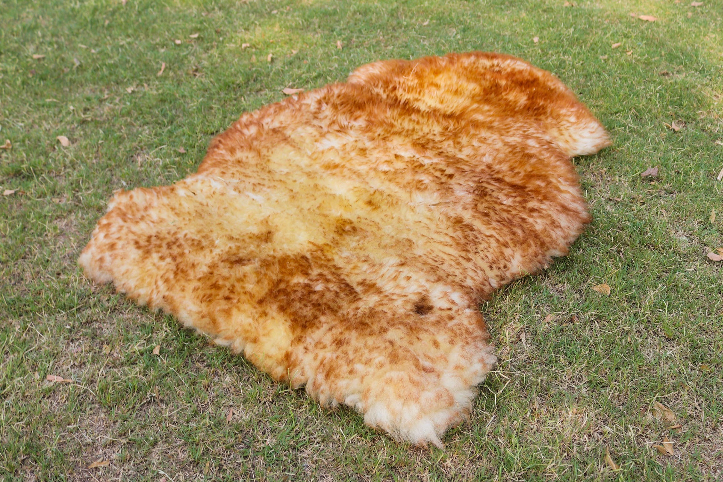 Exclusive Sheepskin Rug – Brown Tipped