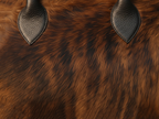 Cowhide Tote Bag - Brindle Cowhide