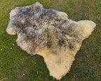 Sheepskin Fur Rug – Yellowish Base with Grey Tips