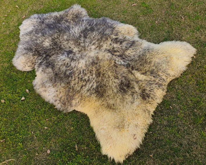 Sheepskin Fur Rug – Yellowish Base with Grey Tips